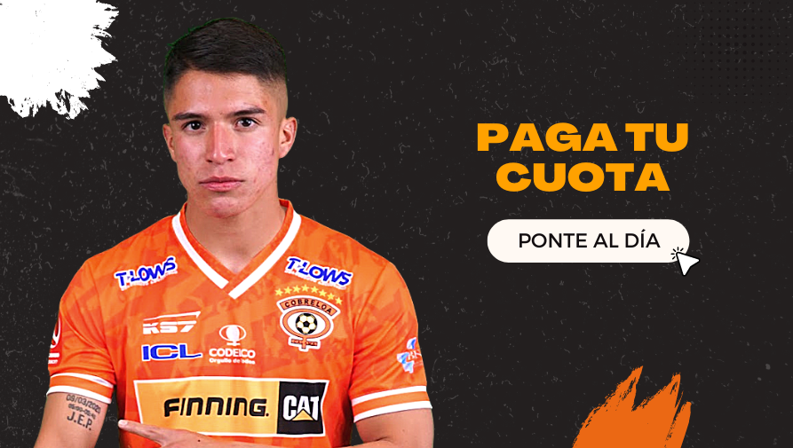 Imagen #4 - Vídeos TV